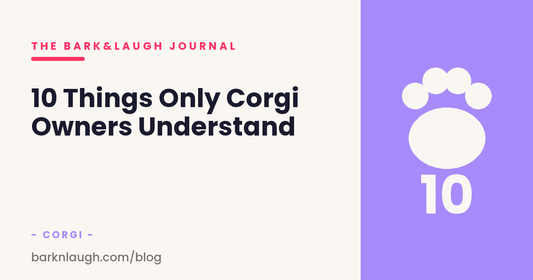 10 Things Only Corgi Owners Understand