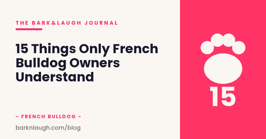 15 Things Only French Bulldog Owners Understand