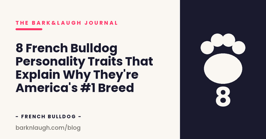 8 French Bulldog Personality Traits That Explain Why They're America's #1 Breed
