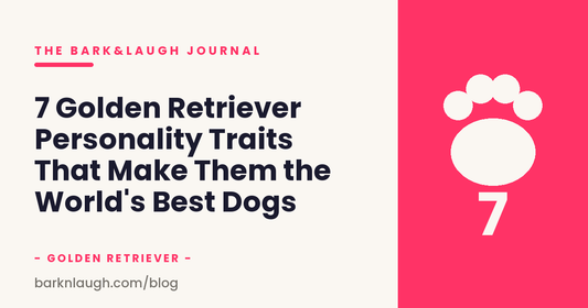 7 Golden Retriever Personality Traits That Make Them the World's Best Dogs