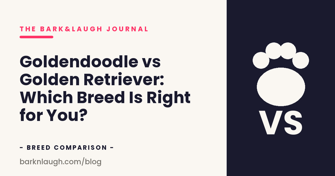 Goldendoodle vs Golden Retriever: Which Breed Is Right for You?